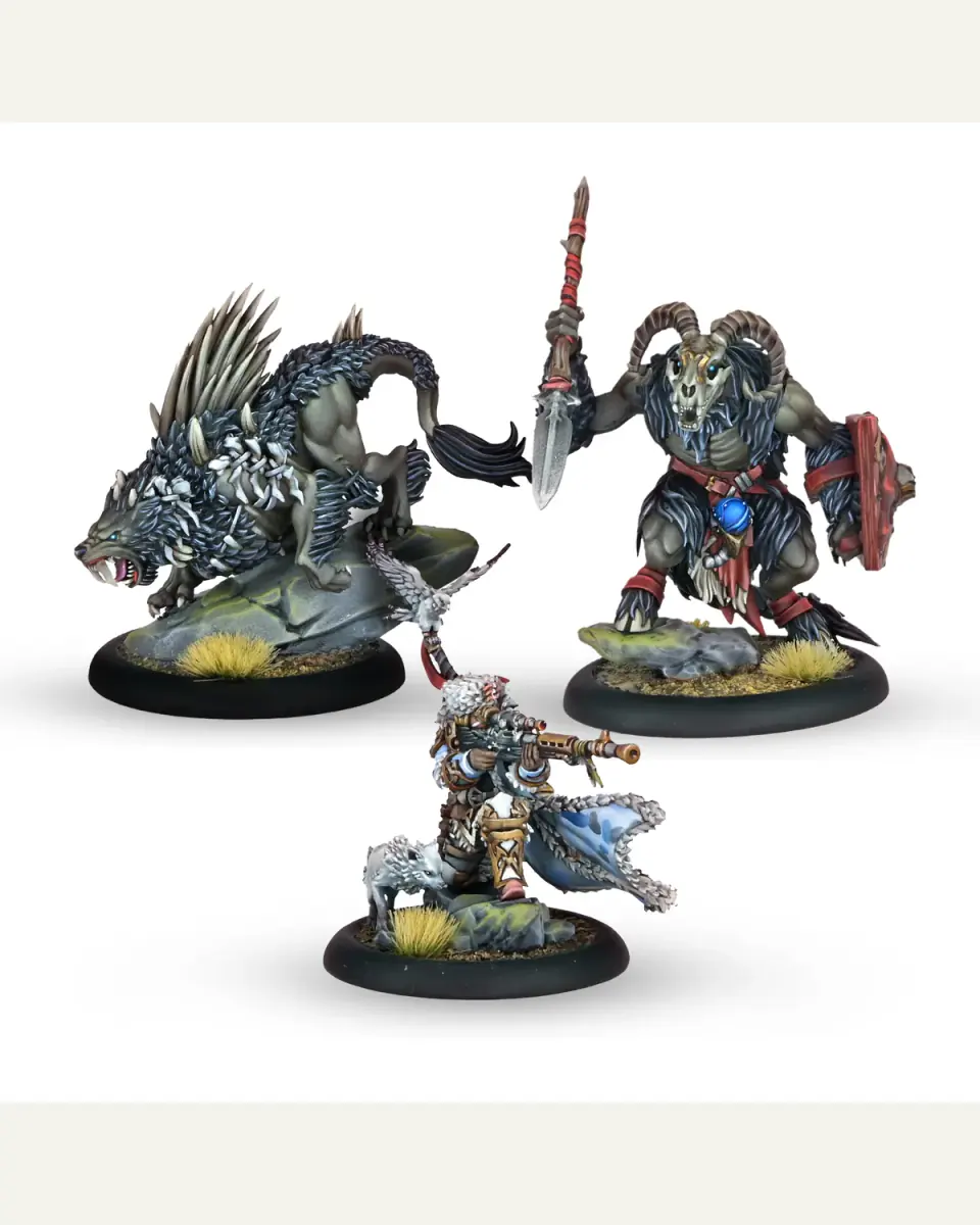 Battlegroup Box